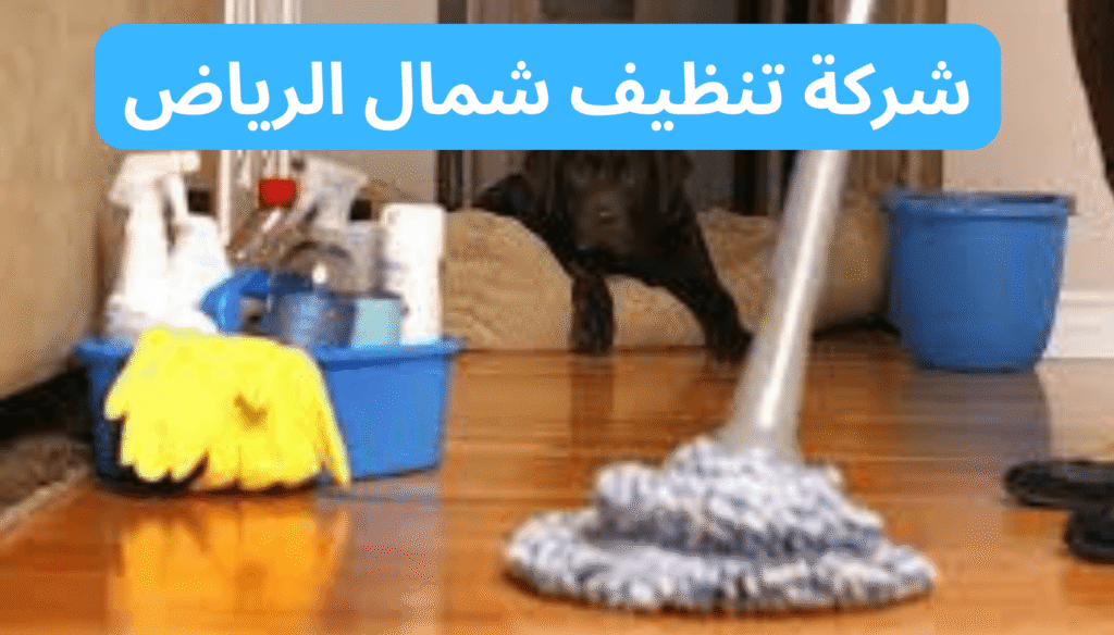 شركة تنظيف شمال الرياض